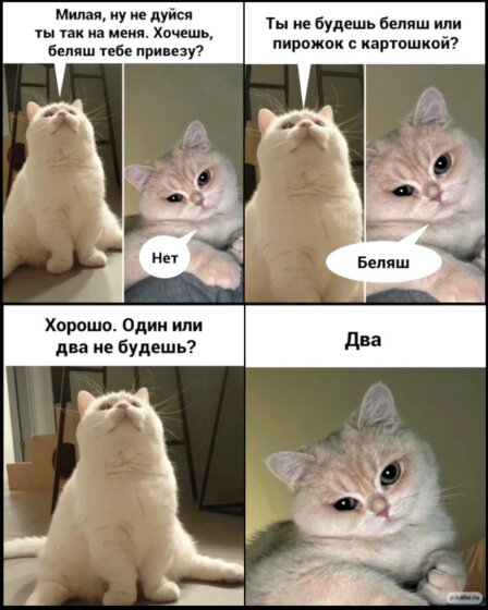 семейные отношения - версия котов
