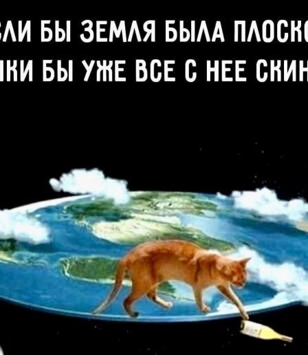 если бы земля была плоской - смешные картинки с котами и кошками